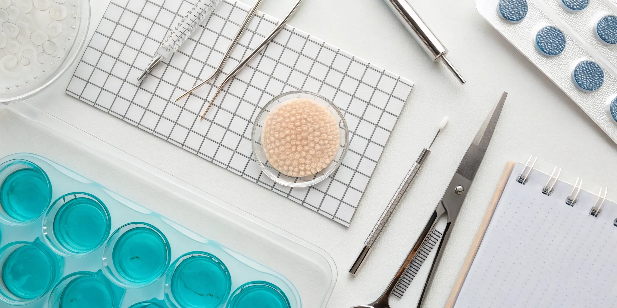 FUE hair transplant technique with tools and grafts that determine the final procedure cost.